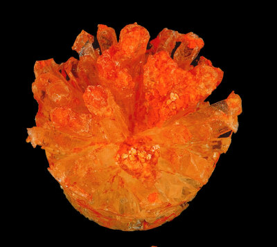 2019 HomeGrown Crystals Orange  RX400826 (Stacked)_InPixio.jpg