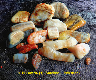 2019 Box 16 (1)RX400957 (Stacked)  (Polished).jpg