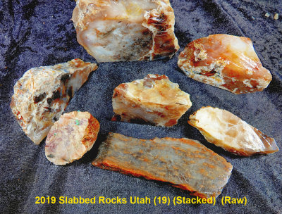 2019 Slabbed Rocks Utah (19) RX402047 (Stacked)  (Raw).jpg