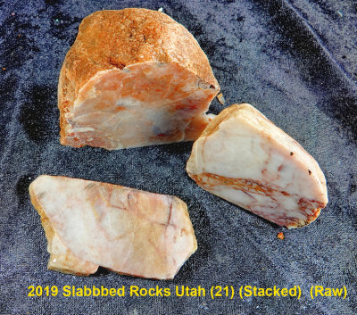 2019 Slabbed Rocks Utah (21) RX402092 (Stacked)  (Raw).jpg