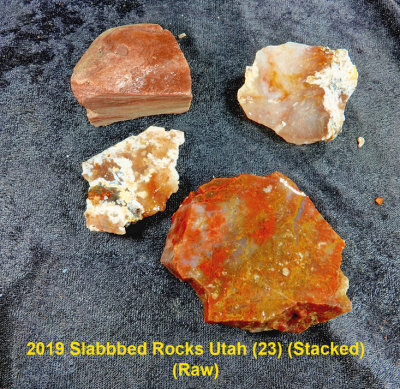2019 Slabbed Rocks Utah (23) RX402137 (Stacked)  (Raw).jpg