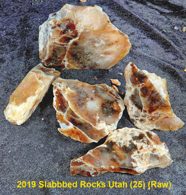 2019 Slabbed Rocks Utah (25) RX402191 (Stacked)  (Raw).jpg