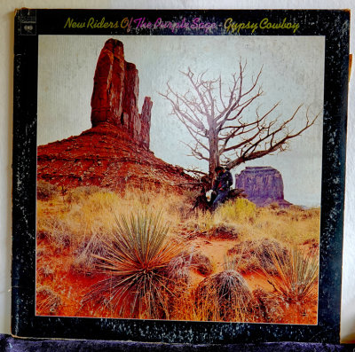 NRPS Gypsy Cowboy RX403229.jpg