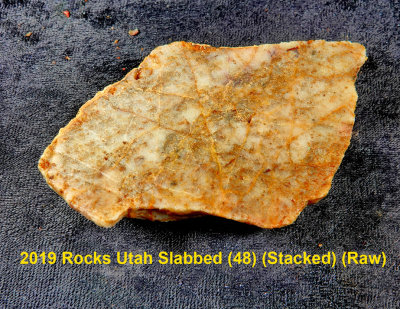 2019 Rocks Utah Slabbed (48) RX403481 (Raw).jpg