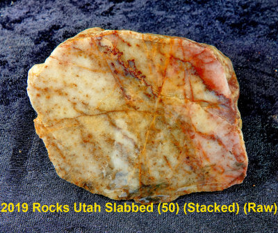 2019 Rocks Utah Slabbed (50) RX403490 (Raw).jpg