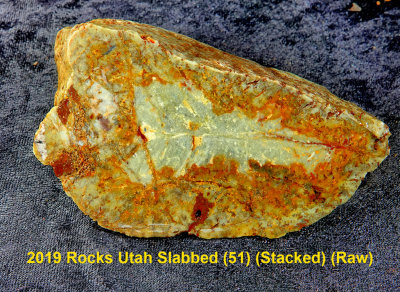 2019 Rocks Utah Slabbed (51) RX403499 (Raw).jpg