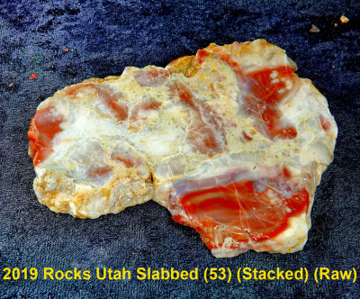 2019 Rocks Utah Slabbed (53) RX403519 (Raw).jpg