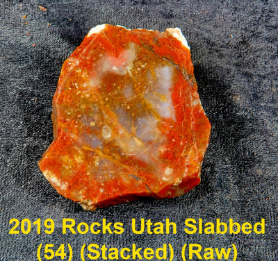 2019 Rocks Utah Slabbed (54) RX403528 (Raw).jpg