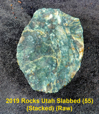 2019 Rocks Utah Slabbed (55) RX403537 (Raw).jpg
