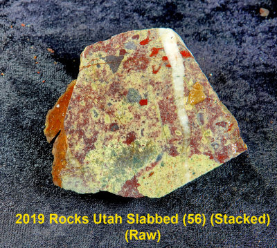 2019 Rocks Utah Slabbed (56) RX403546 (Raw).jpg