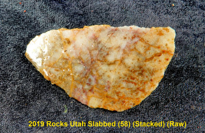 2019 Rocks Utah Slabbed (58) RX403564 (Raw).jpg