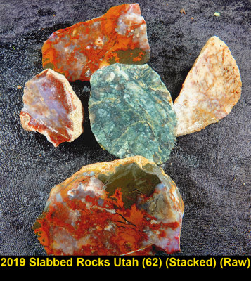 2019 Slabbed Rocks Utah (62) RX403827 (Stacked) (Raw).jpg