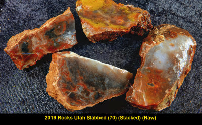 2019 Rocks Utah Slabbed (70) RX404016 (Stacked) (Raw).jpg