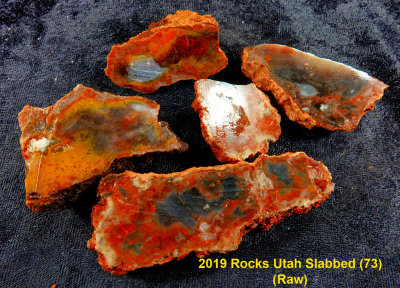 2019 Rocks Utah Slabbed (73) RX404052 (Raw).jpg