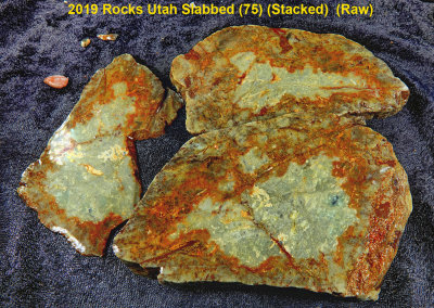 2019 Rocks Utah Slabbed (75) RX404127 (Stacked)  (Raw).jpg