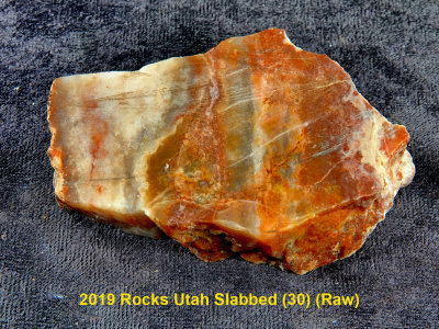 2019 Rocks Utah Slabbed (30) RX404217 (Raw).jpg