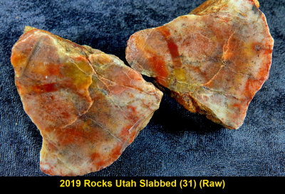 2019 Rocks Utah Slabbed (31) RX404235 (Raw).jpg