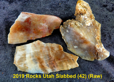 2019 Rocks Utah Slabbed (42) RX404262 (Raw).jpg
