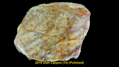 2019 Utah Lapped (14 RX404444 (Polished_dphdr_InPixio.jpg