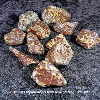 2018 1 lb Leopard Jasper from Asia  RX408656 (Stacked)  (Polished) (Labeled).jpg
