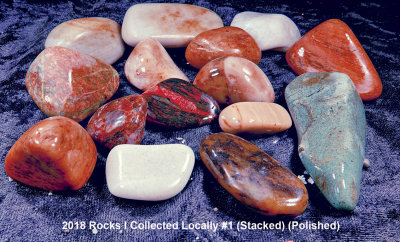 2018 Rocks I Collected Locally #1 RX403975 (Stacked) (Polished) (Labeled).jpg