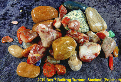 2019 Box 7 Bullfrog Turnout  RX404154 (Stacked) (Polished) (Labeled).jpg