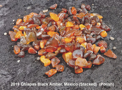 2019 Chiapas Black Amber, Mexico RX402973 (Stacked)  (Polish) (Labeled).jpg