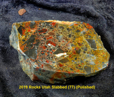 2019 Rocks Utah Slabbed (77) RX404602 (Polished).jpg