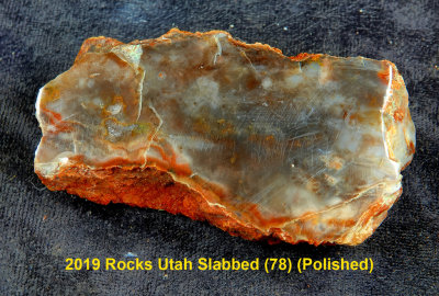2019 Rocks Utah Slabbed (78) RX404696 (Polished)_dphdr.jpg