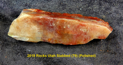 2019 Rocks Utah Slabbed (79) RX404705 (Polished)_dphdr.jpg