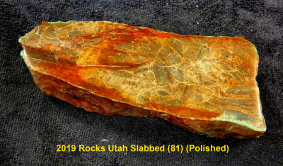 2019 Rocks Utah Slabbed (81) RX404723 (Polished).jpg