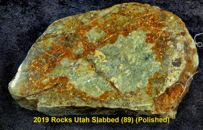 2019 Rocks Utah Slabbed (89) RX404795 (Polished).jpg
