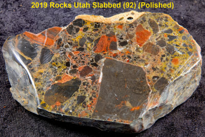 2019 Rocks Utah Slabbed (92) RX404823 (Polished).jpg
