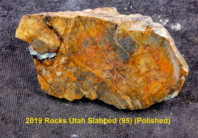 2019 Rocks Utah Slabbed (95) RX404850 (Polished).jpg
