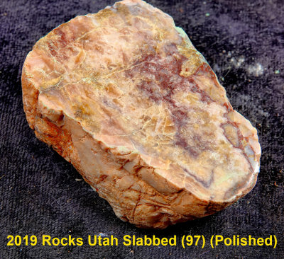 2019 Rocks Utah Slabbed (97) RX404869 (Polished).jpg