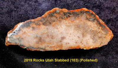 2019 Rocks Utah Slabbed (103)  RX404924 (Polished).jpg
