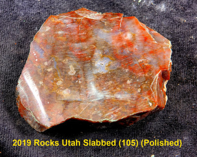 2019 Rocks Utah Slabbed (105)  RX404942 (Polished).jpg