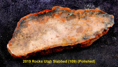2019 Rocks Utah Slabbed (109)  RX404978 (Polished).jpg