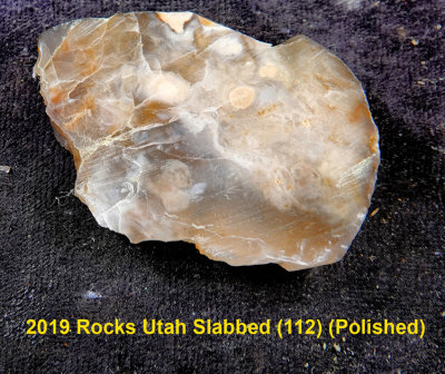 2019 Rocks Utah Slabbed (112)  RX405005 (Polished).jpg