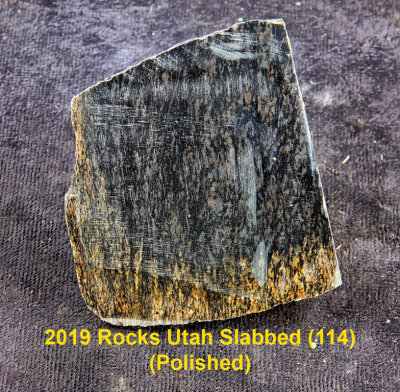 2019 Rocks Utah Slabbed (114)  RX405023 (Polished).jpg