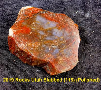 2019 Rocks Utah Slabbed (115)  RX405032 (Polished).jpg