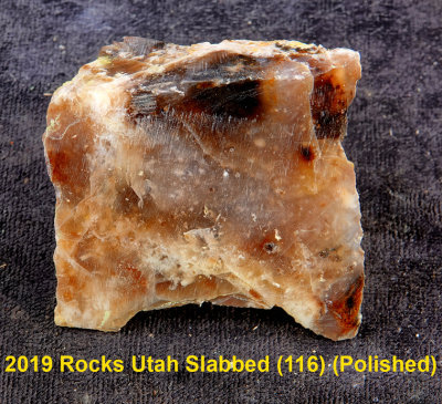 2019 Rocks Utah Slabbed (116)  RX405041 (Polished).jpg