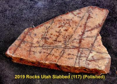 2019 Rocks Utah Slabbed (117)  RX405050 (Polished).jpg