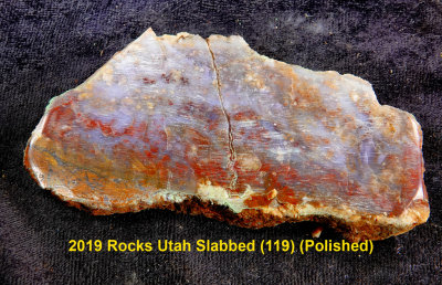 2019 Rocks Utah Slabbed (119)  RX405068 (Polished).jpg