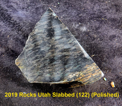 2019 Rocks Utah Slabbed (122)  RX405095 (Polished).jpg