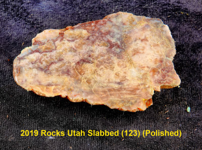 2019 Rocks Utah Slabbed (123)  RX405104 (Polished).jpg