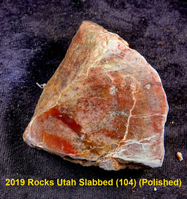2019 Rocks Utah Slabbed (104)  RX405203 (Polished).jpg