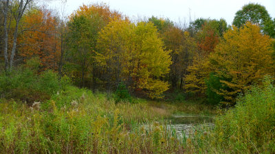 2019 Fall Foliage DSC08280_dphdr.jpg