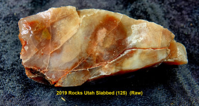 2019 Rocks Utah Slabbed (125)  RX405946 (Raw).jpg