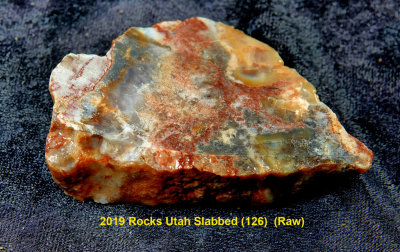 2019 Rocks Utah Slabbed (126)  RX405955 (Raw).jpg